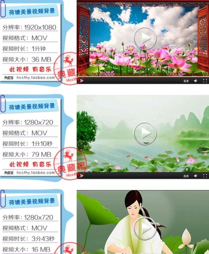荷塘美景 荷花 池塘唯美江南背景视频 古典中国风舞蹈LED视频素材